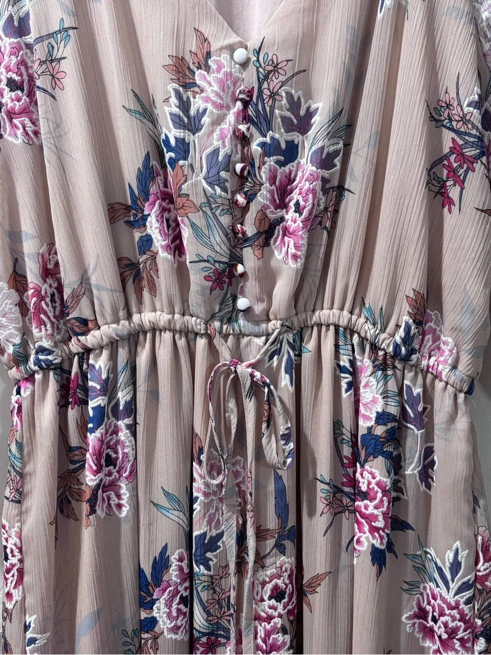 Just Found Floral Maxi Dress Sheer Chiffon Ruffle Hem Neutral Boho Pink Blue